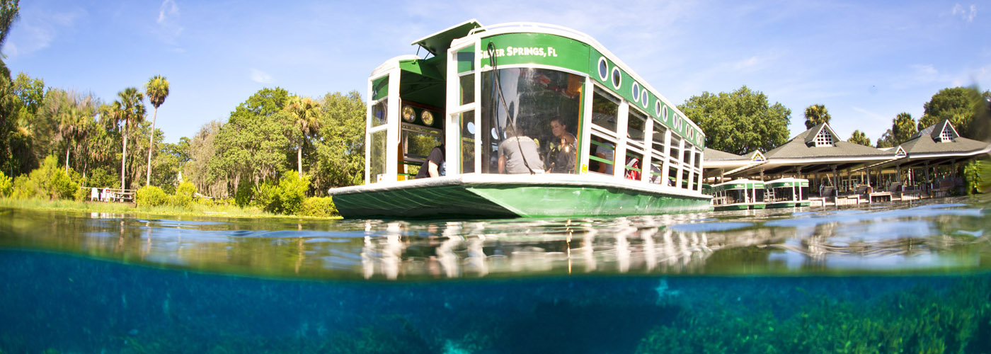 Glass Bottom Boat at Silver Springs 3