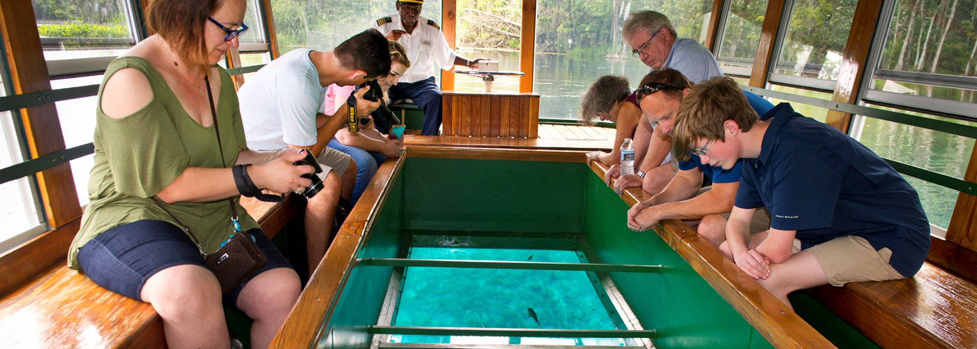 Glass Bottom Boat at Silver Springs 4